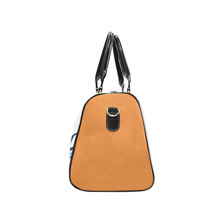 Dynamic Destinations Carryon